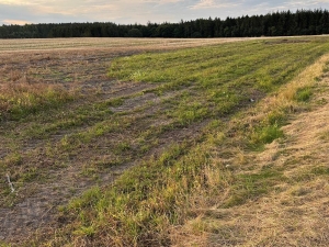 Forsøgsmark 1