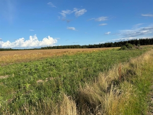 Forsøgsmark 1